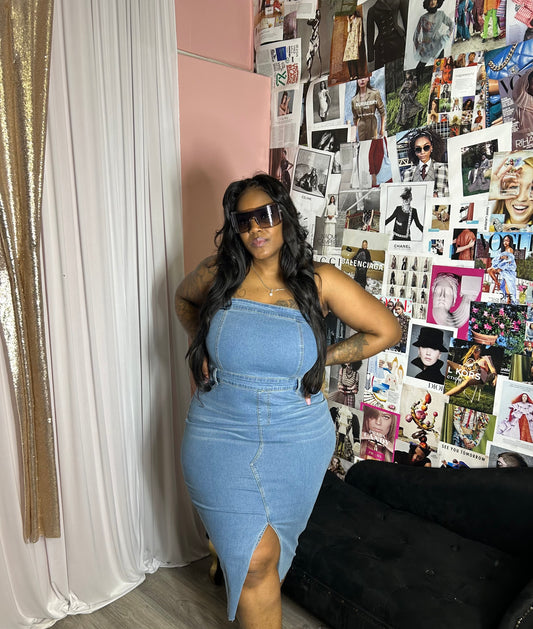 That One Denim Dress (PLUS)